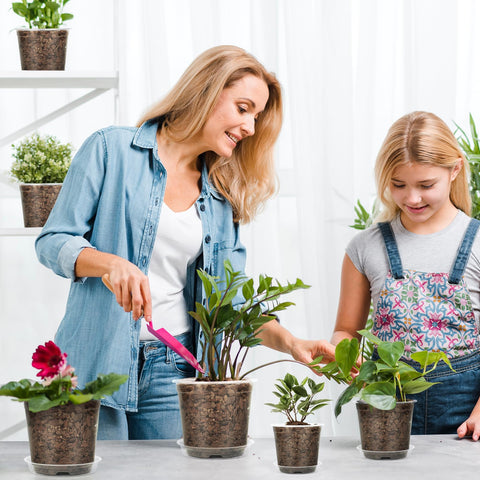 TAQIXI convenient set for repotting and dividing houseplants.