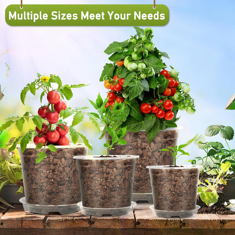 TAQIXI clear nursery pots with drainage holes promote air circulation.
