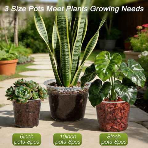 TAQIXI clear nursery pot 8 inch, side view for large seedling growth.