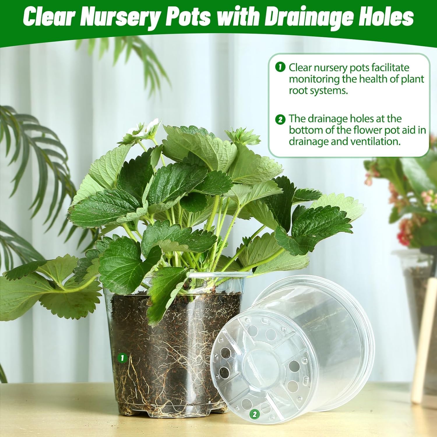 TAQIXI durable nursery pot, easy transplant and reuse in gardening.