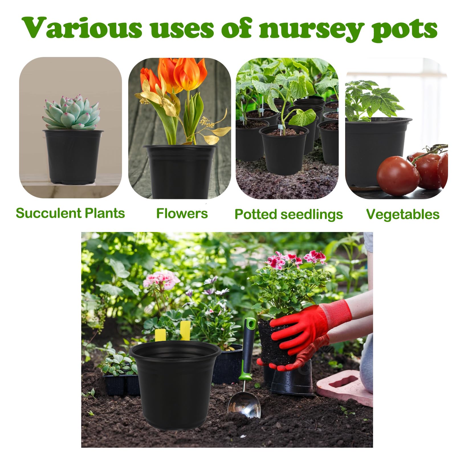 TAQIXI durable plastic plant pots for seed starting and mini landscapes