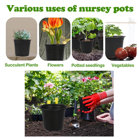 TAQIXI durable plastic plant pots for seed starting and mini landscapes