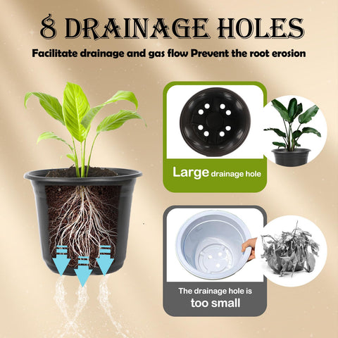 TAQIXI plastic pots resist cracking and can be reused for multiple seasons.