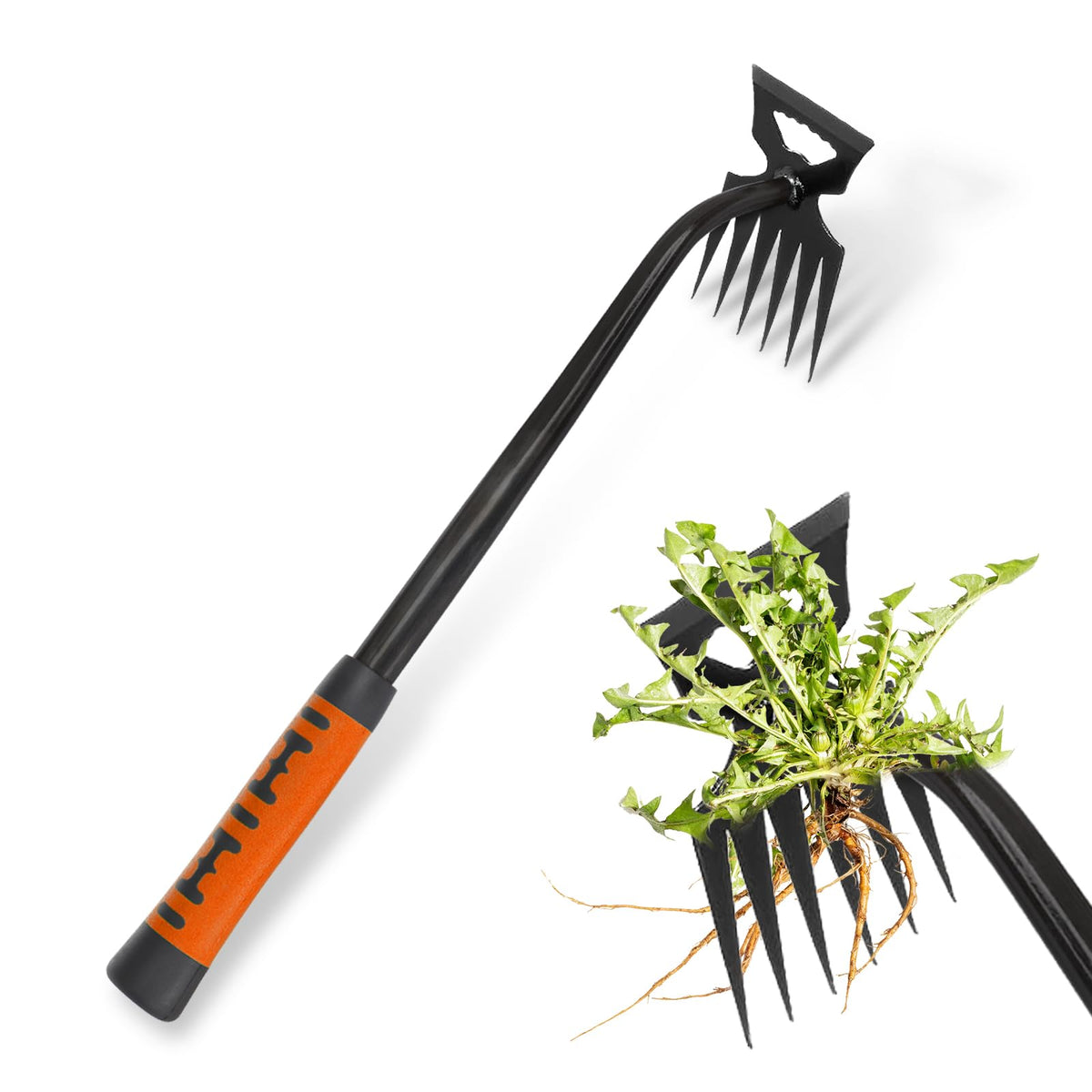 Tardiy weed remover tool with 6 tines for efficient garden weeding.