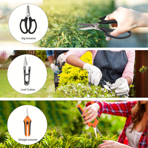 Taschyas 304 stainless steel bonsai scissors offer durability and sharp precision.