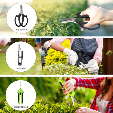 Taschyas large bonsai scissors for clean pruning