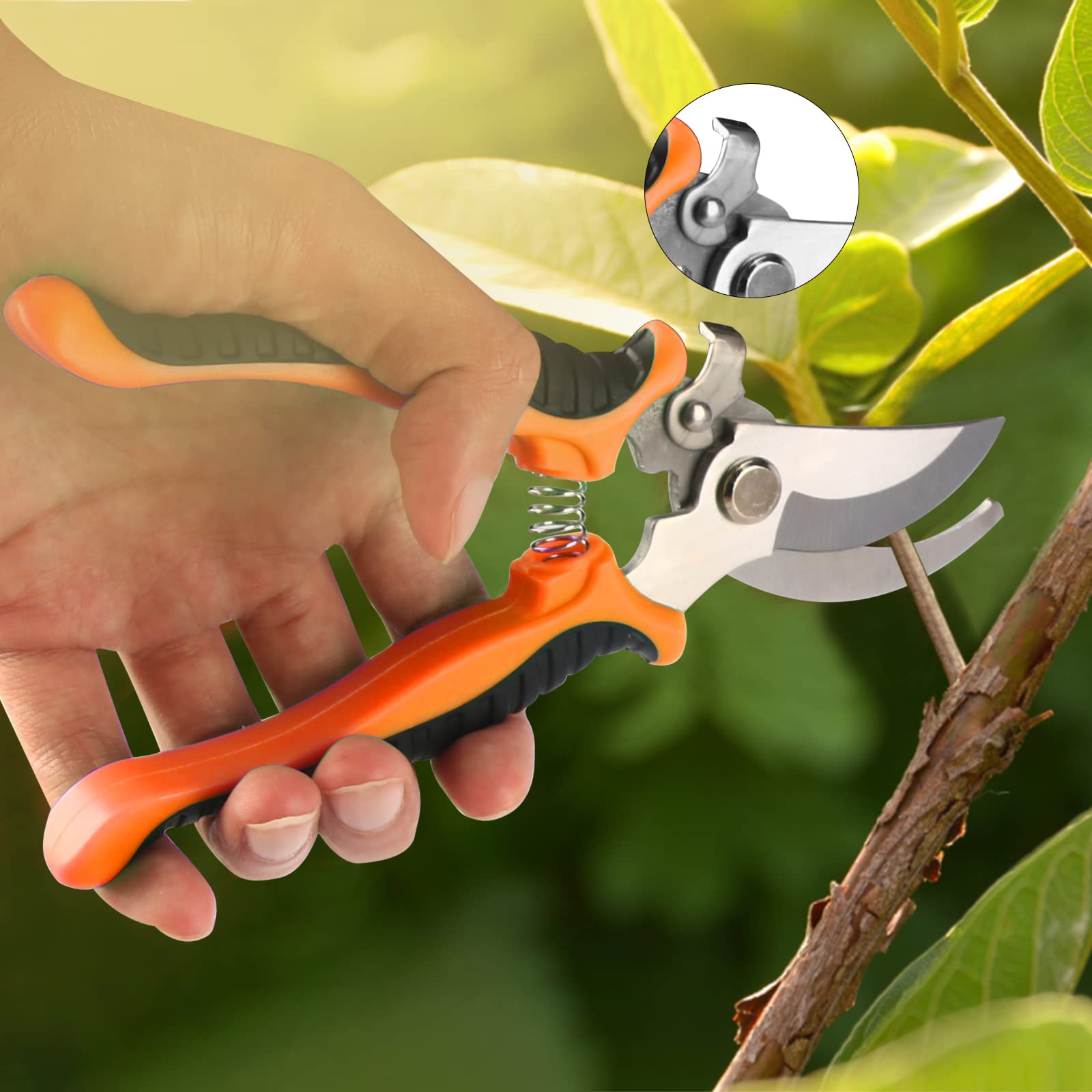 Taschyas straight head bonsai scissors for precise cuts.