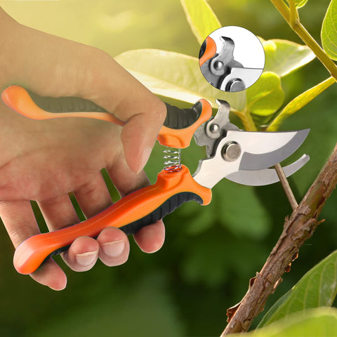 Taschyas straight head bonsai scissors for precise cuts.