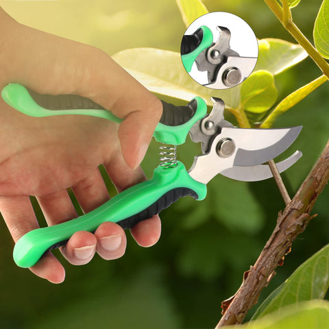 Taschyas straight scissors designed for accurate pruning tasks