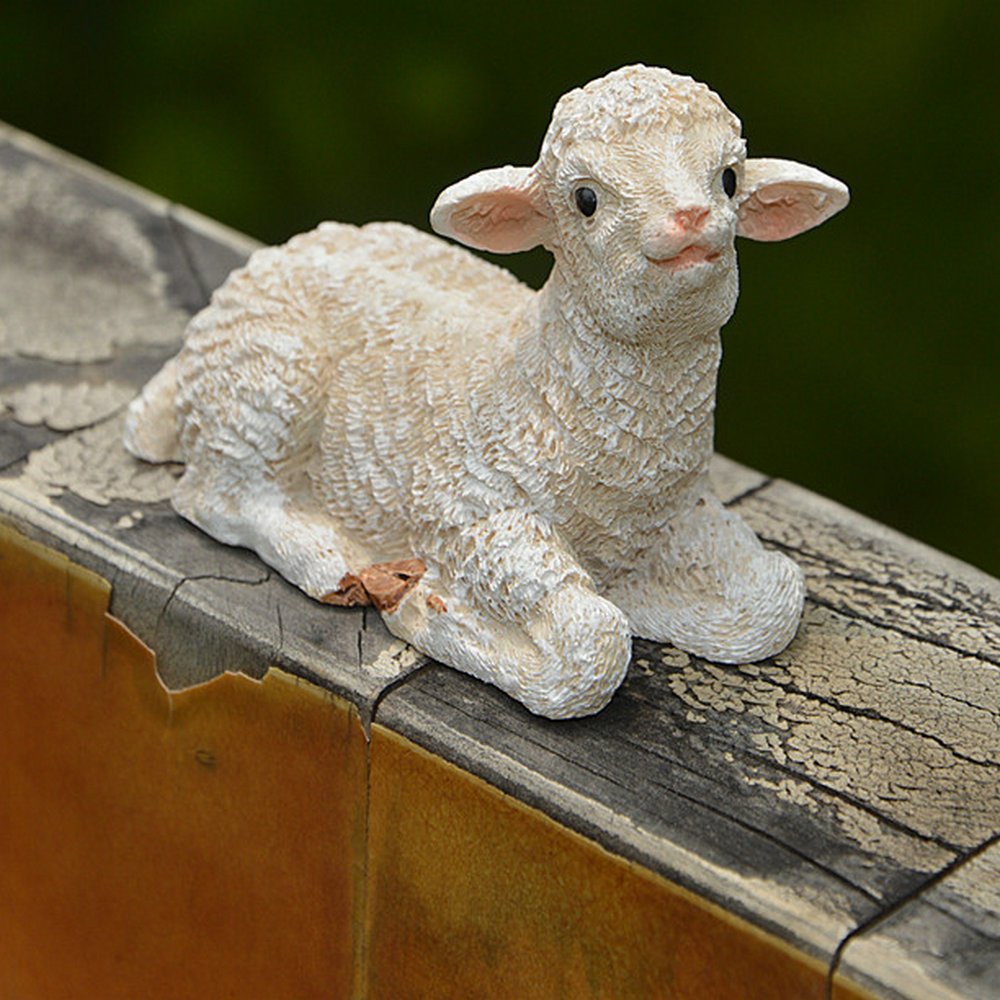 TATEELY miniature sheep panda in a terrarium setup