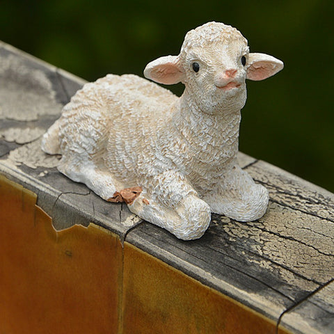 TATEELY miniature sheep panda in a terrarium setup