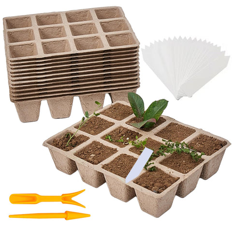Tatibana 144-cell seed tray for organized germination on a compact windowsill