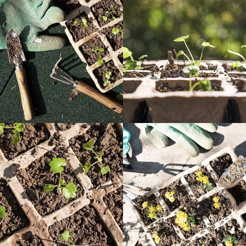 Tatibana eco-friendly seed-starting kit supports tidy gardening