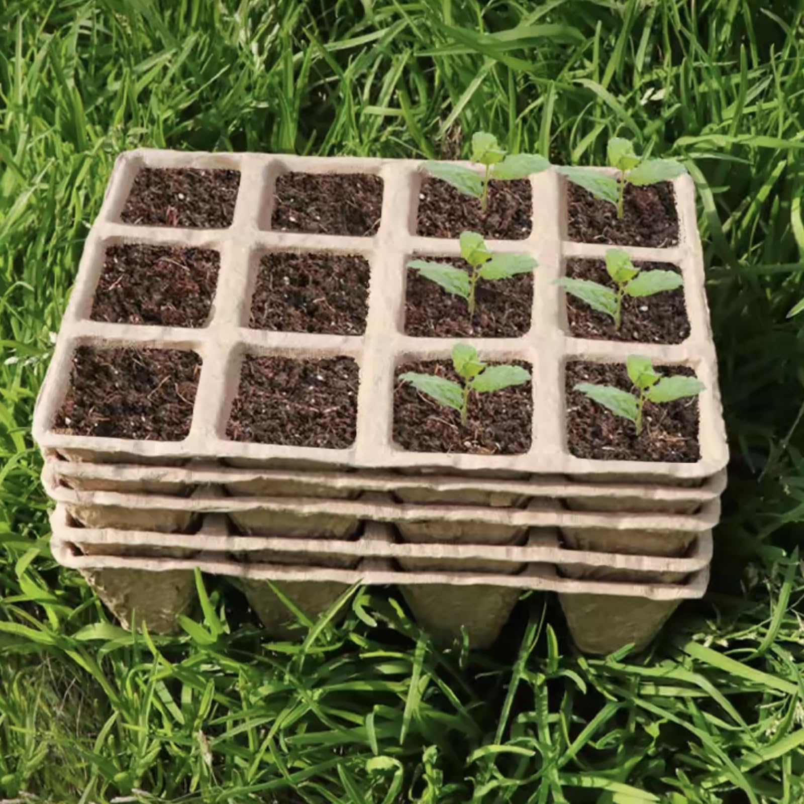 Tatibana kit shown for indoor and outdoor seed starting