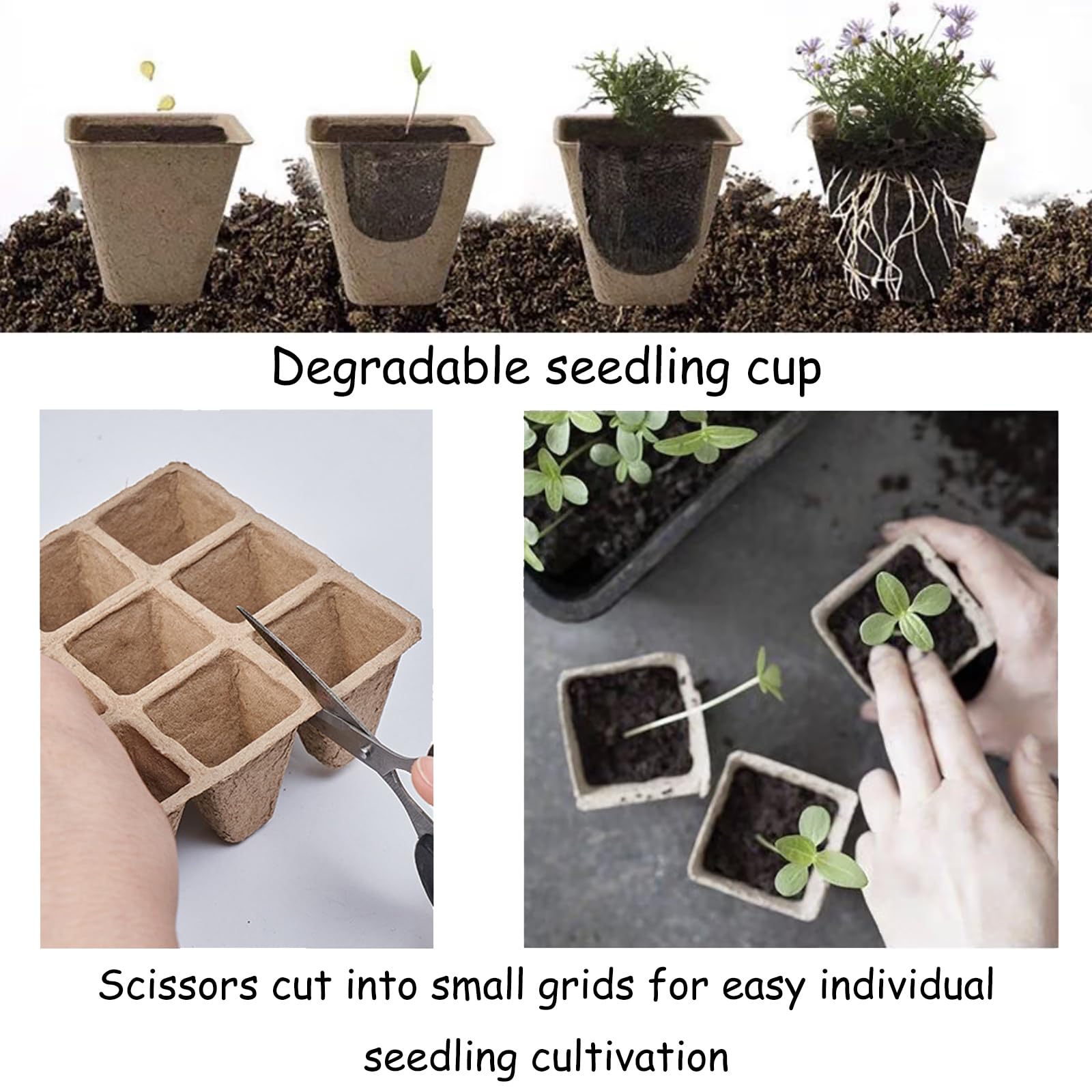 Tatibana planting transplanters simplify gentle pot-to-soil transfers