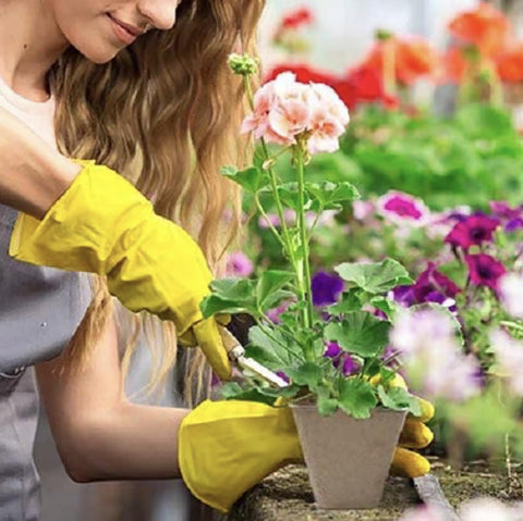 Tatibana white labels help seed tracking and labeling