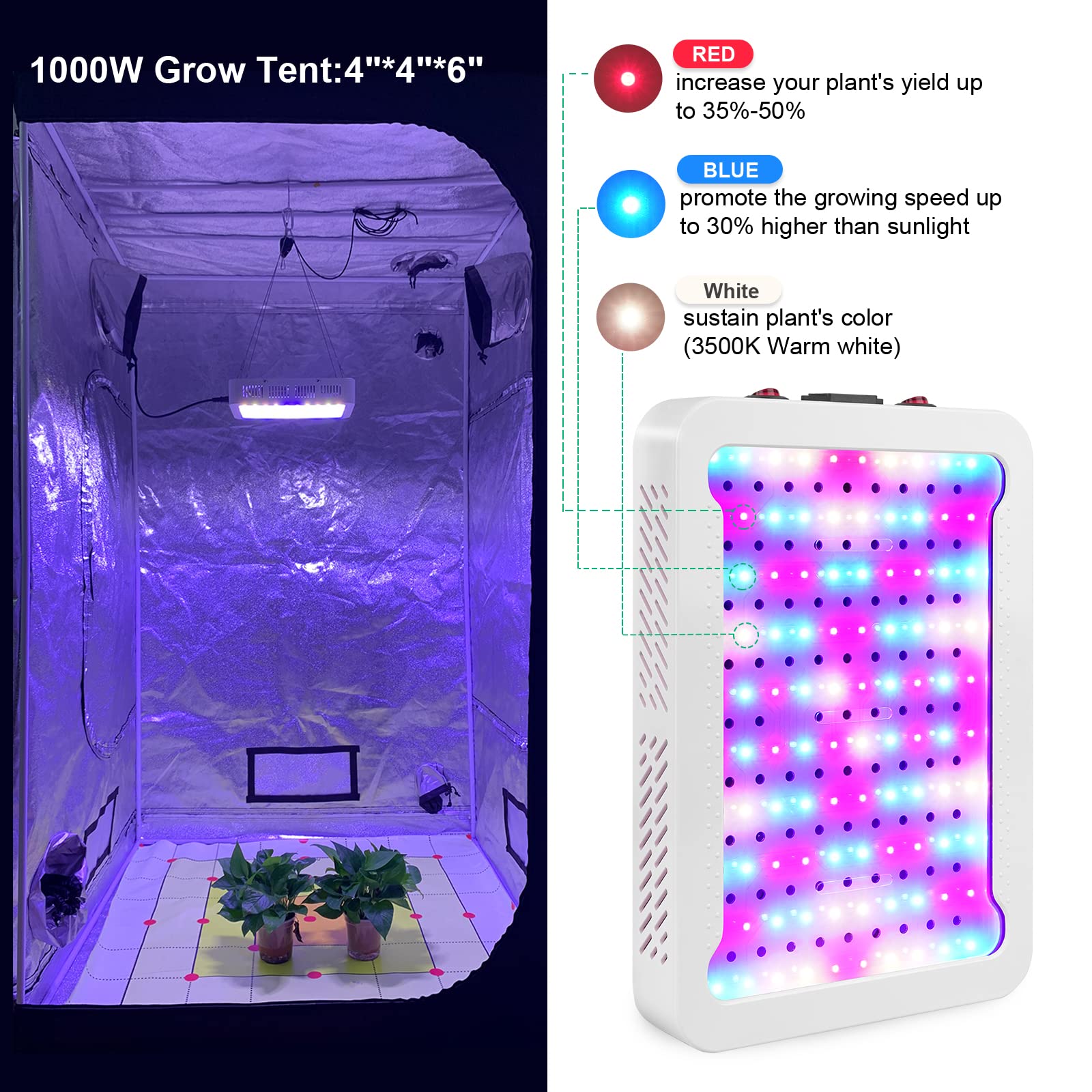 TATU 1000W LED grow light over overhead installation in tent
