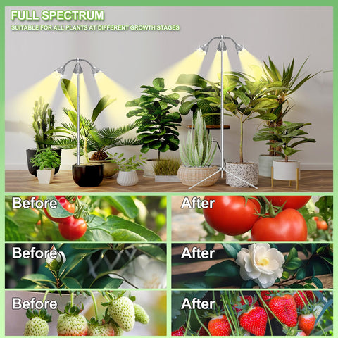 TAURUSY Grow Light setup in bedroom/balcony demonstrates all-season indoor growing.