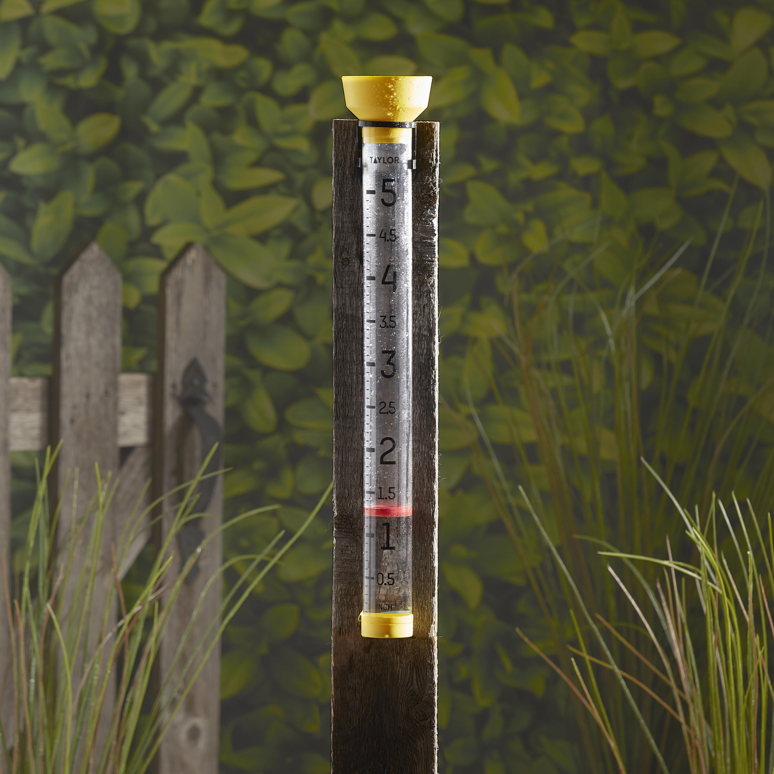 Taylor Jumbo JR 5-inch capacity gauge supports backyard irrigation planning