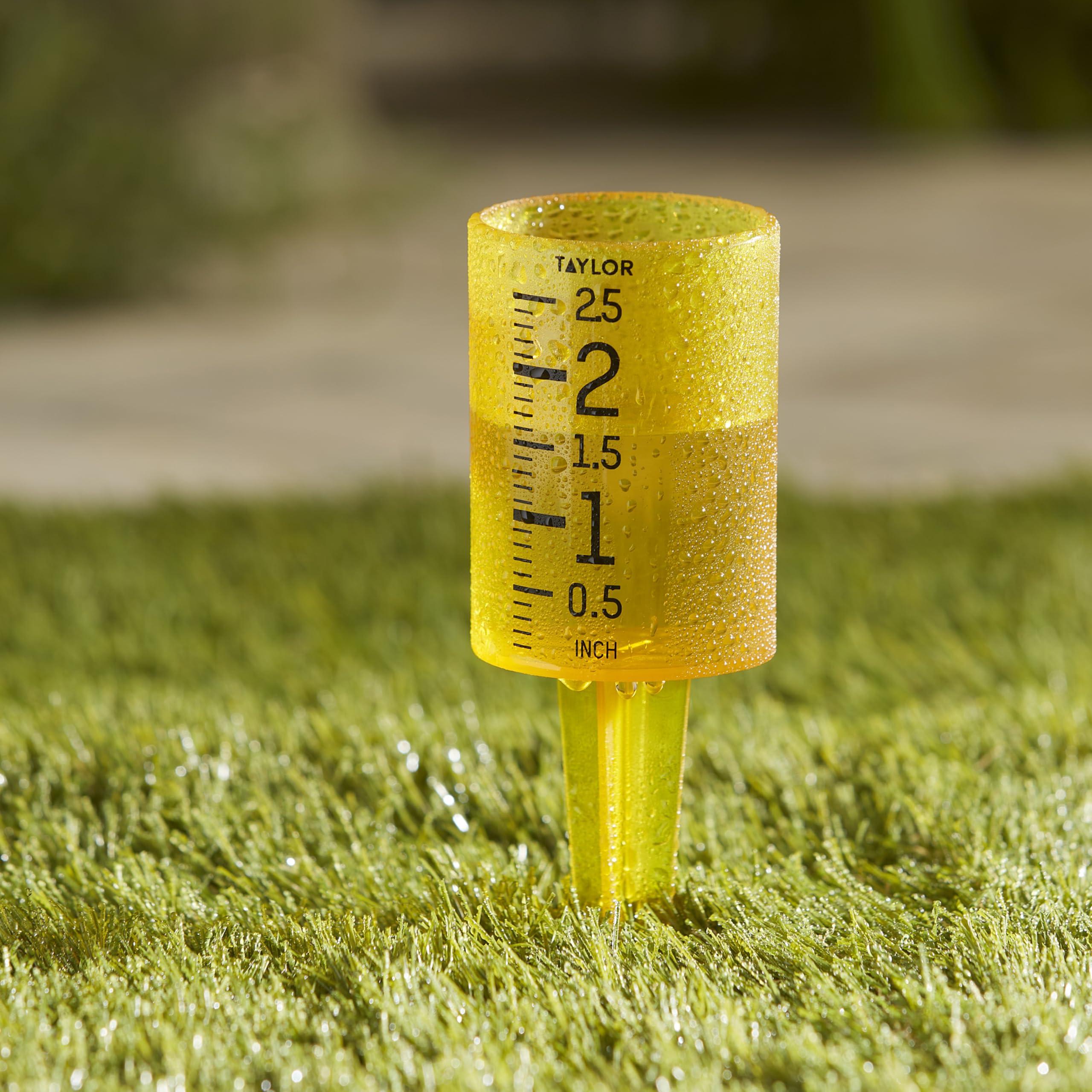 Taylor Jumbo JR easy-to-read measurements improve garden watering decisions