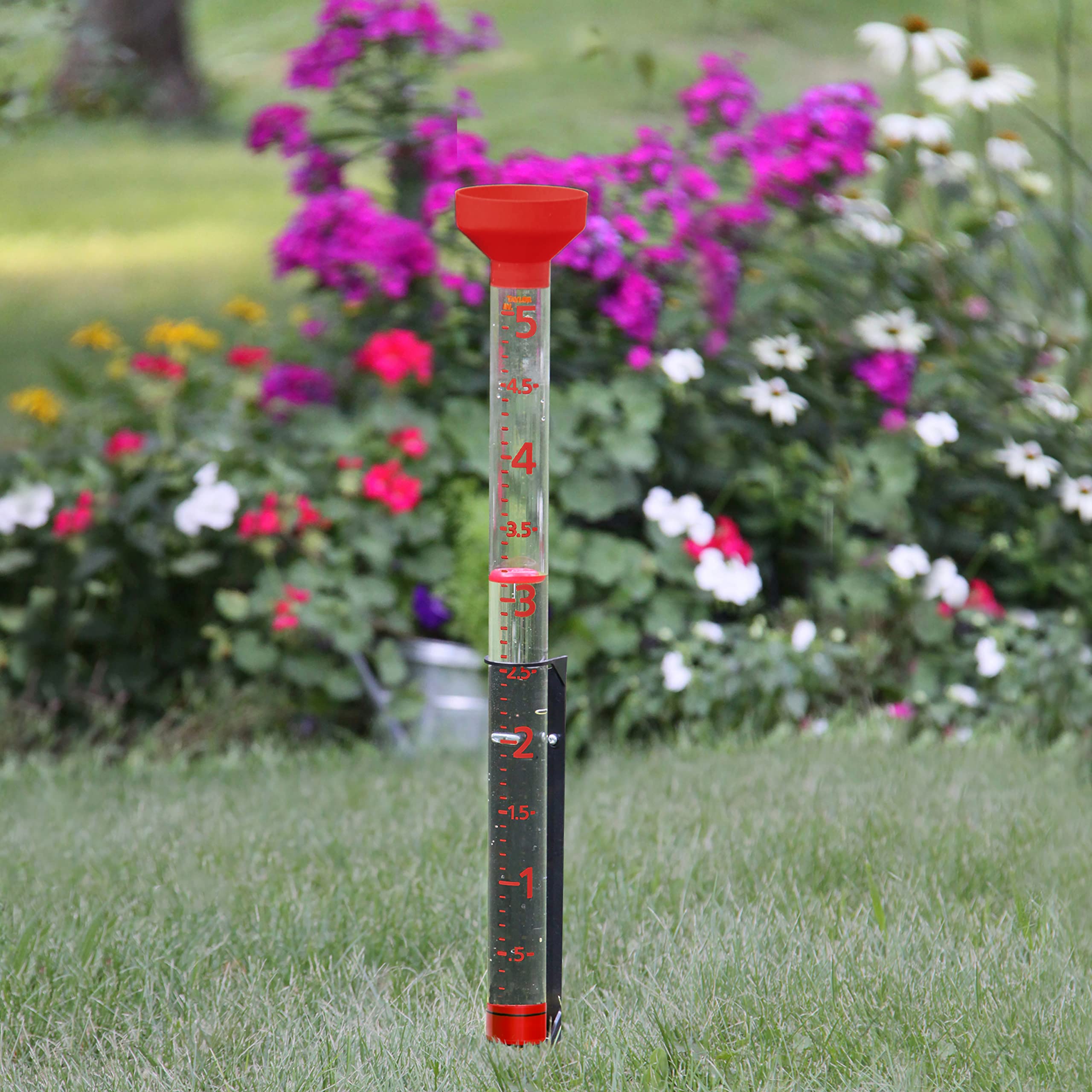 Taylor Jumbo Jr 5-inch capacity with 1/10-inch increments for precision