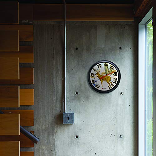 Taylor weather-resistant, shatterproof thermometer for year-round placement