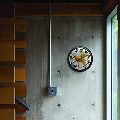 Taylor weather-resistant, shatterproof thermometer for year-round placement