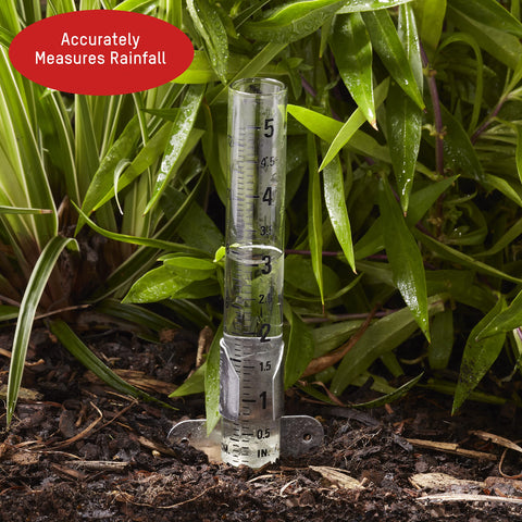 Taylor rain gauge with easy-to-read increments helps track rainfall and irrigation needs.