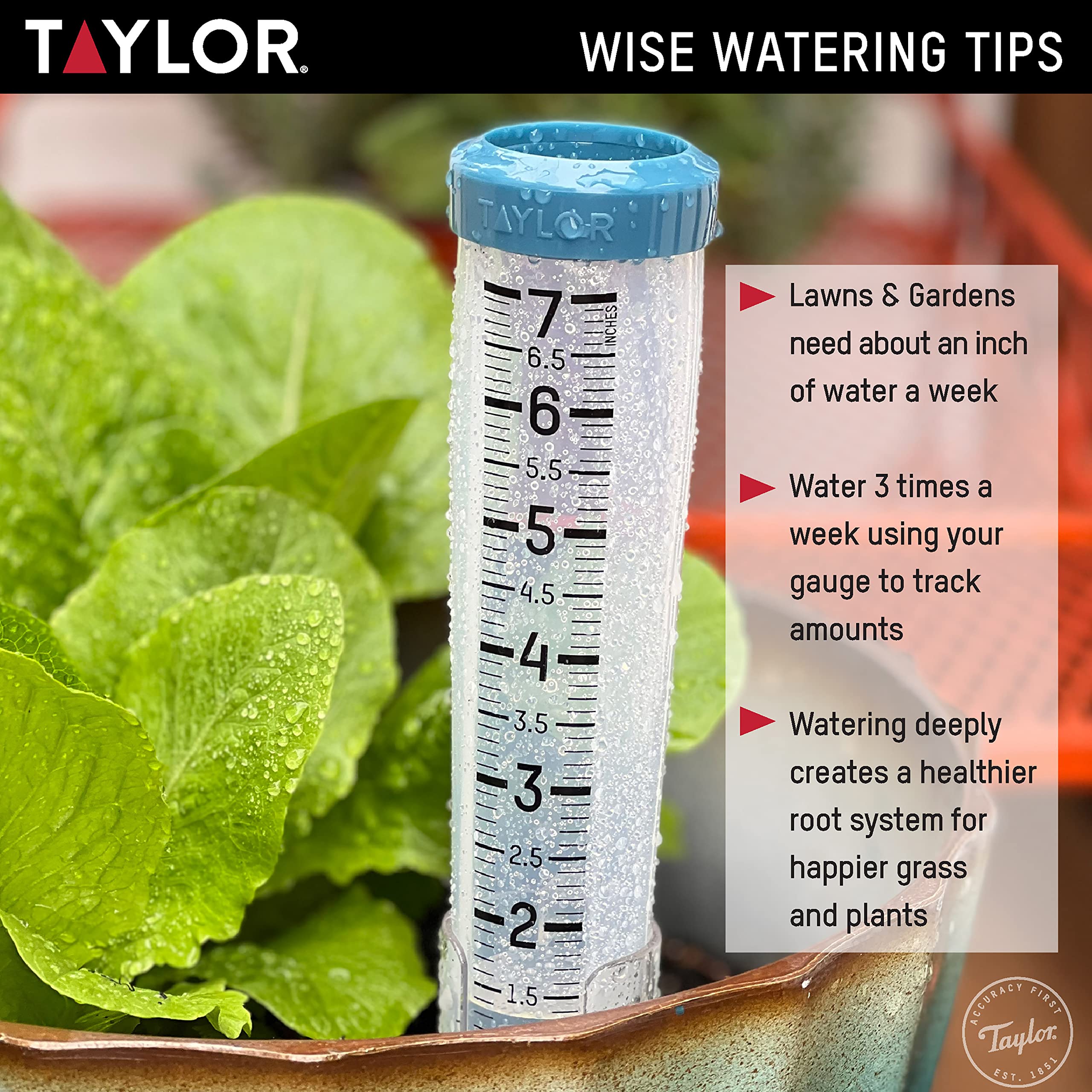 Taylor weather resistant rain gauge built for all seasons