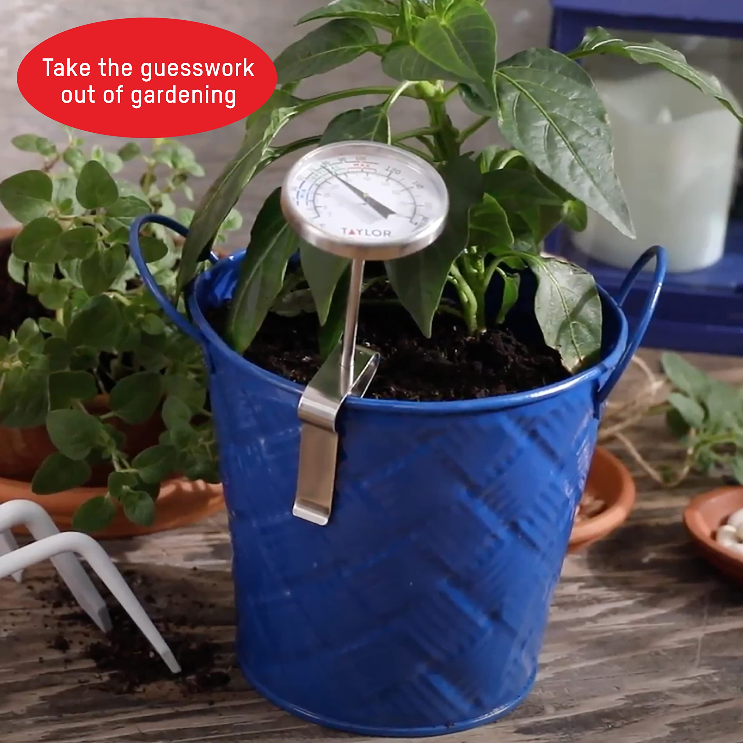 Taylor 4-inch stem focus shows deep soil sampling for reliable temperature data.