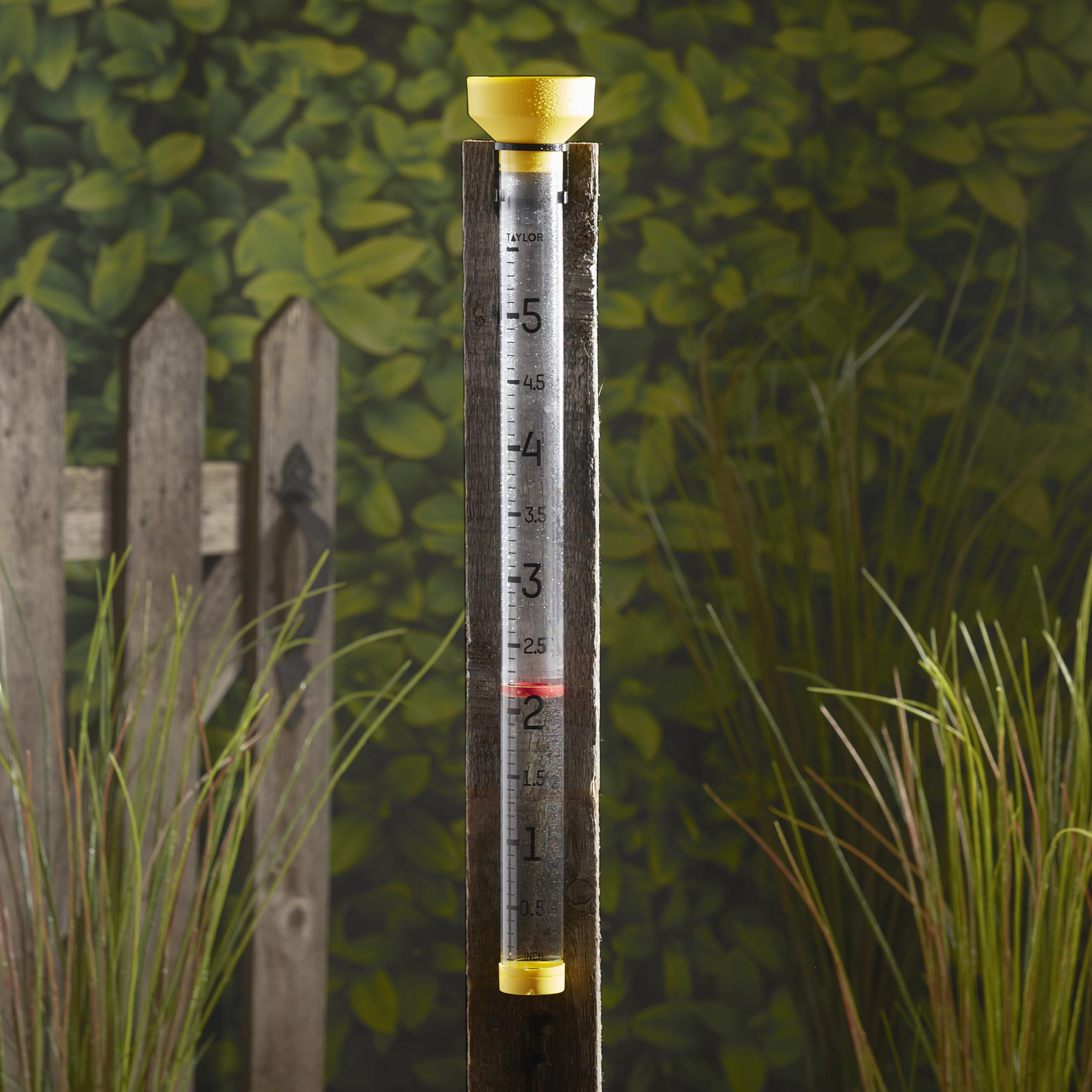 Taylor rain gauge removable bottom cap for easy cleaning