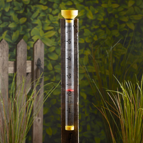 Taylor rain gauge removable bottom cap for easy cleaning