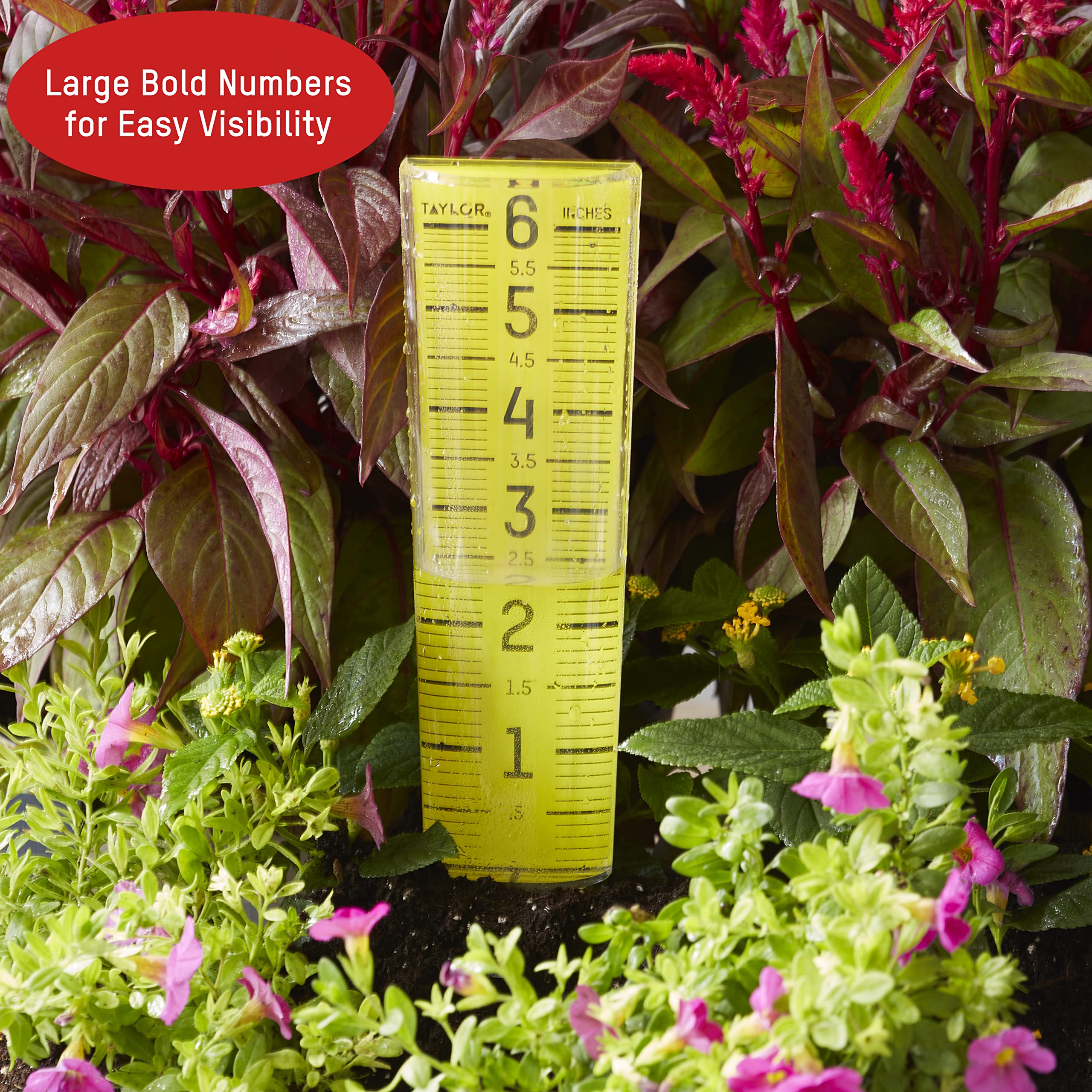 Taylor ClearVu rain gauge ideal for yard and garden monitoring.