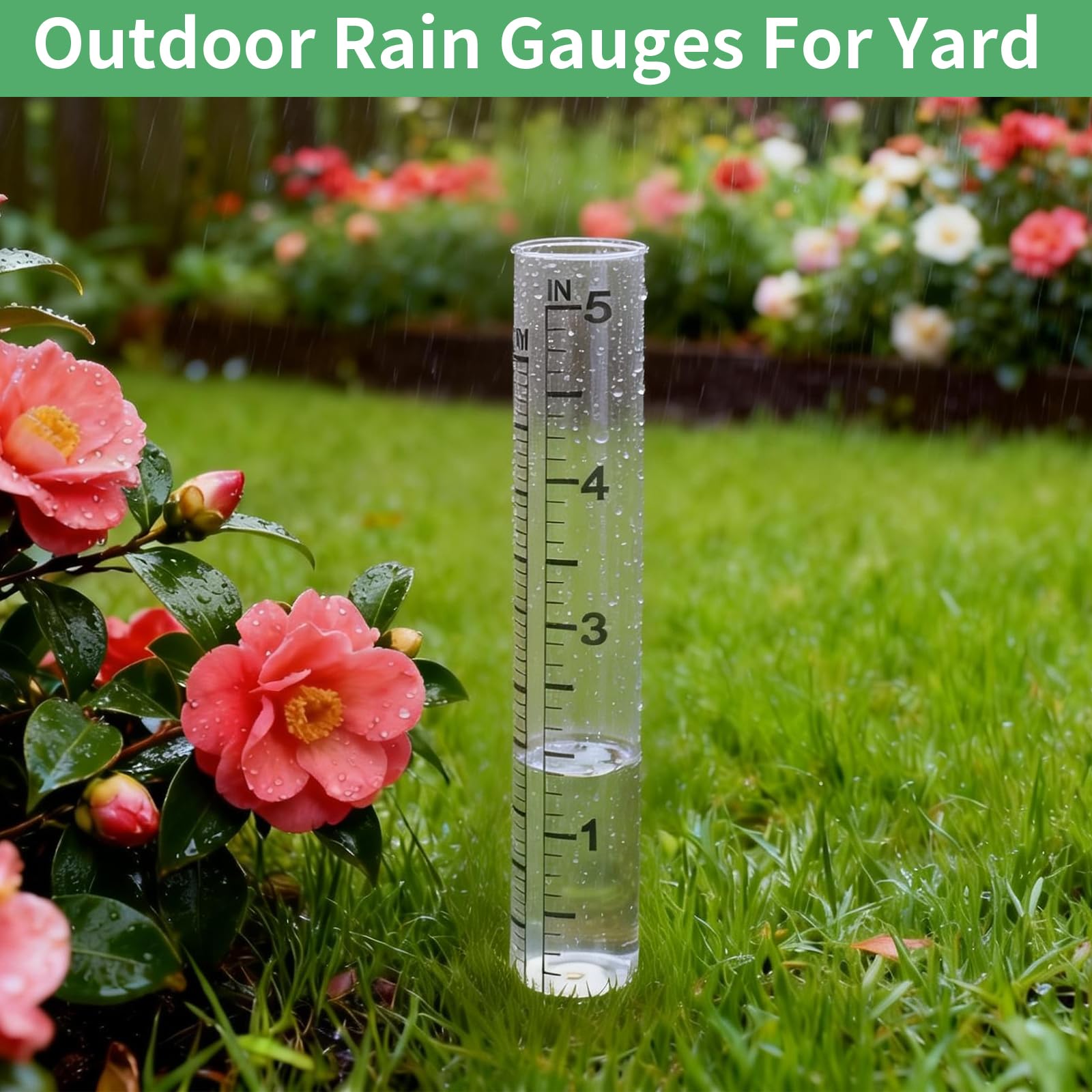 TBWHL clear glass rain gauge tube emphasizes durability and readability.