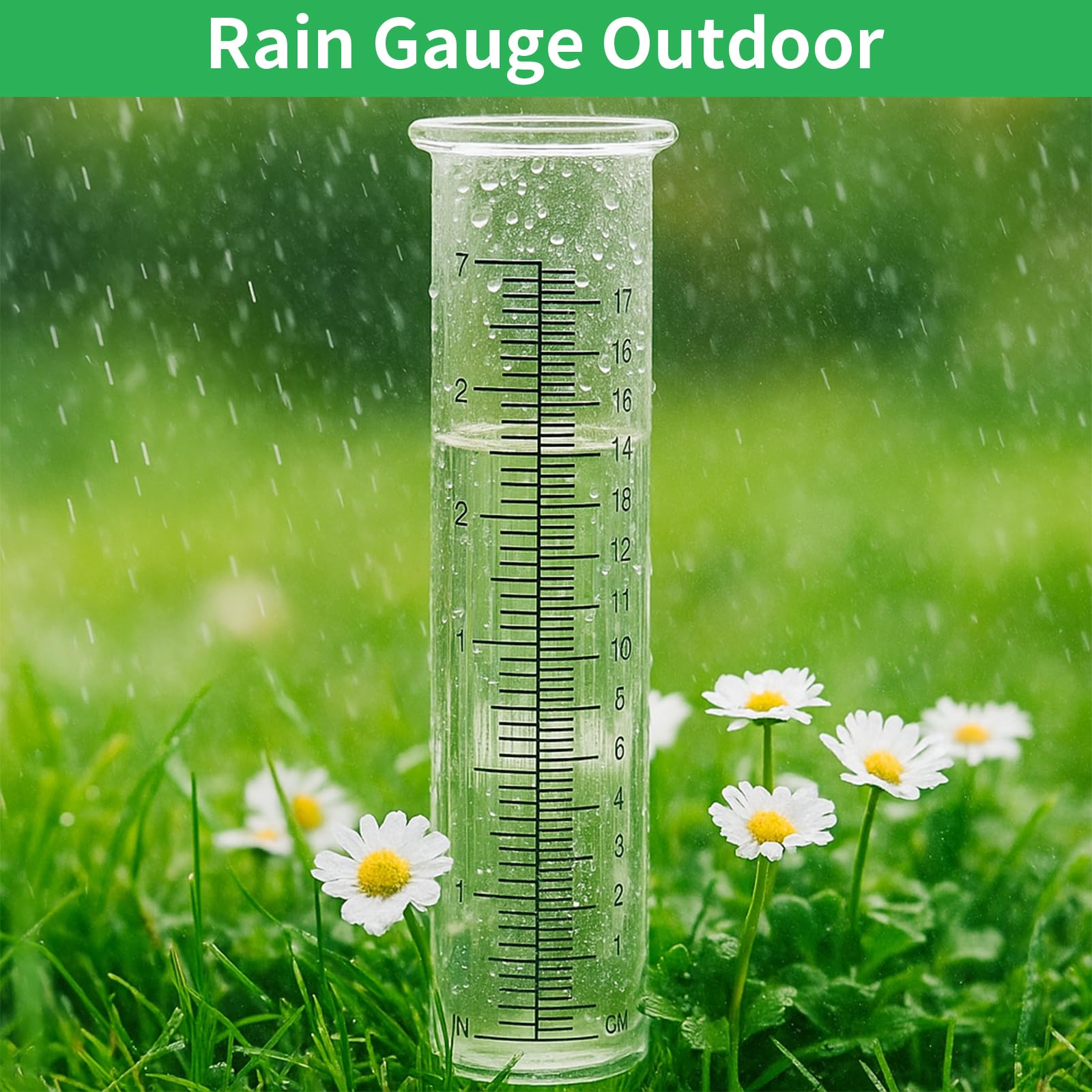 TBWHL durable glass construction withstands cold weather outdoors.