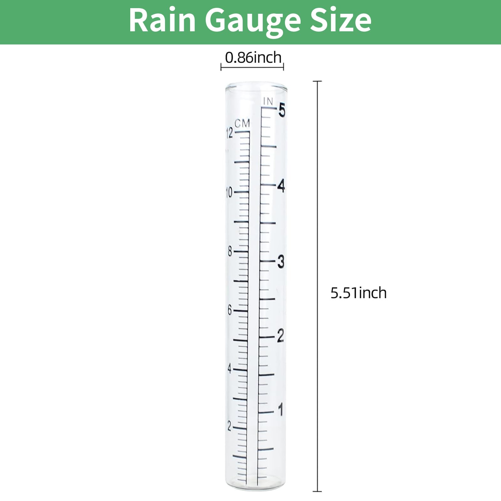 TBWHL glass tube shows clear inch-scale for precise rainfall readings.
