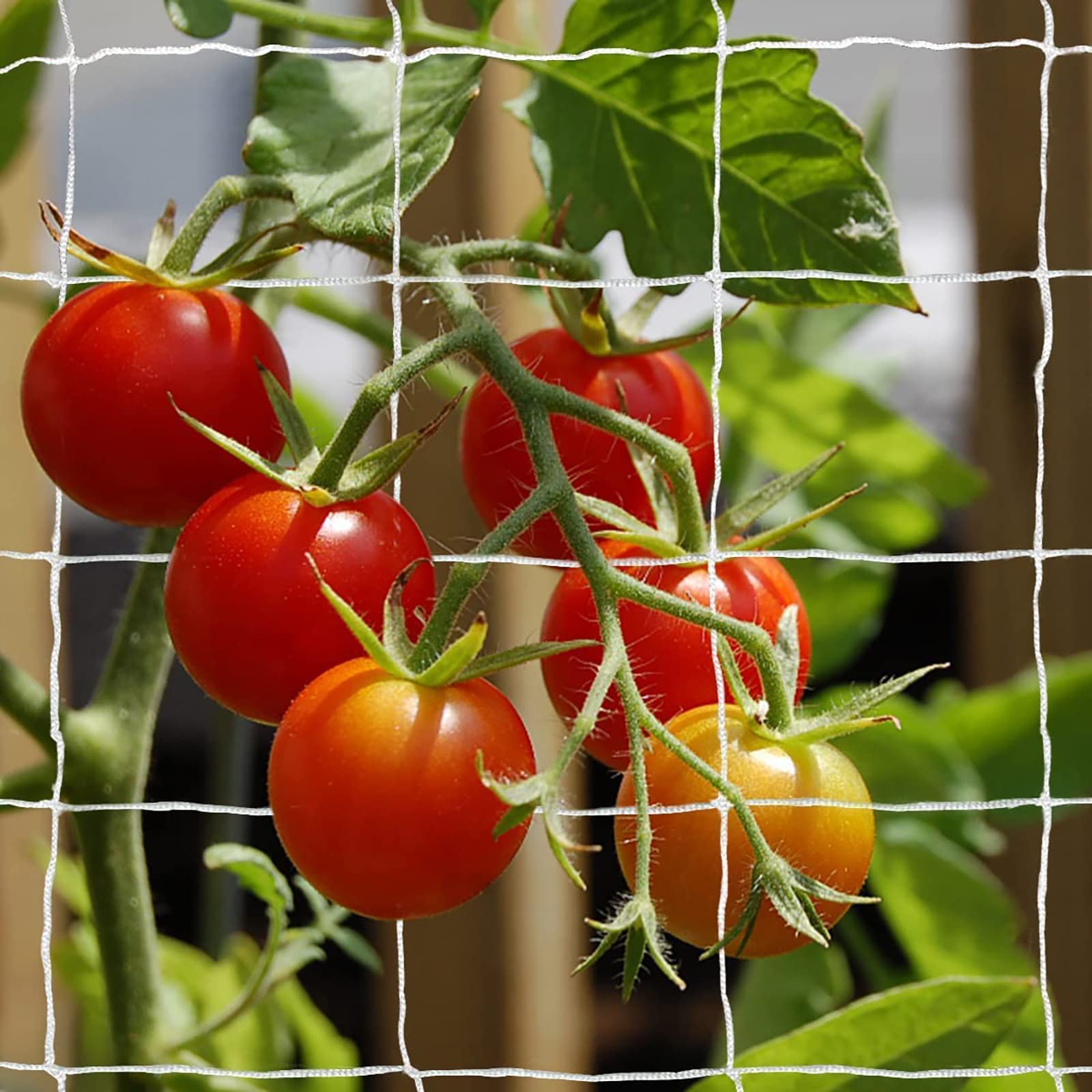 TCamp commercial-grade netting supports vertical or horizontal planting arrangements.