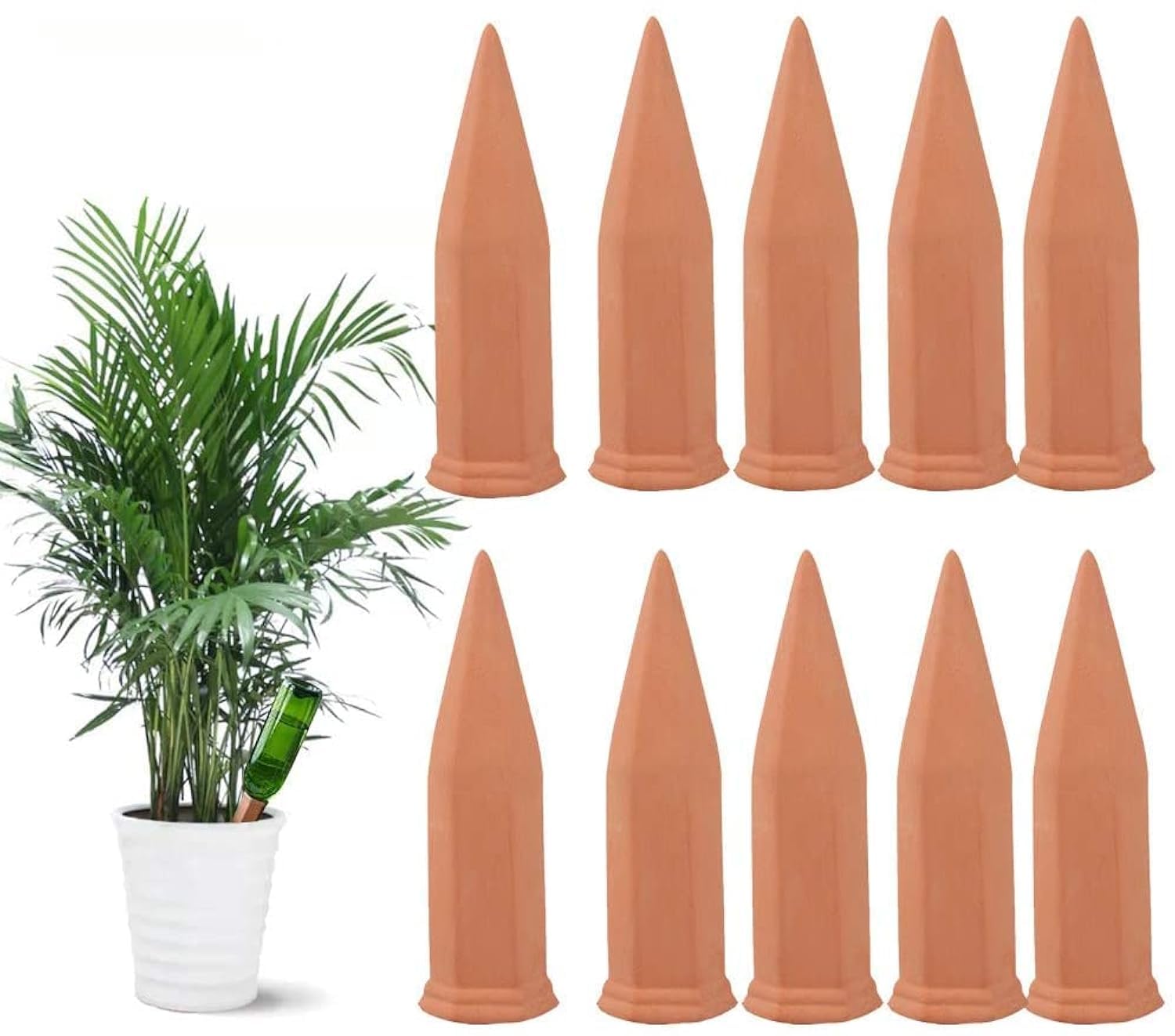 Tcamp terracotta watering spike in bottle setup demonstrates steady hydration while away