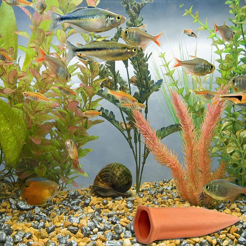 Tcamp spike setup for vacation use extends plant watering intervals