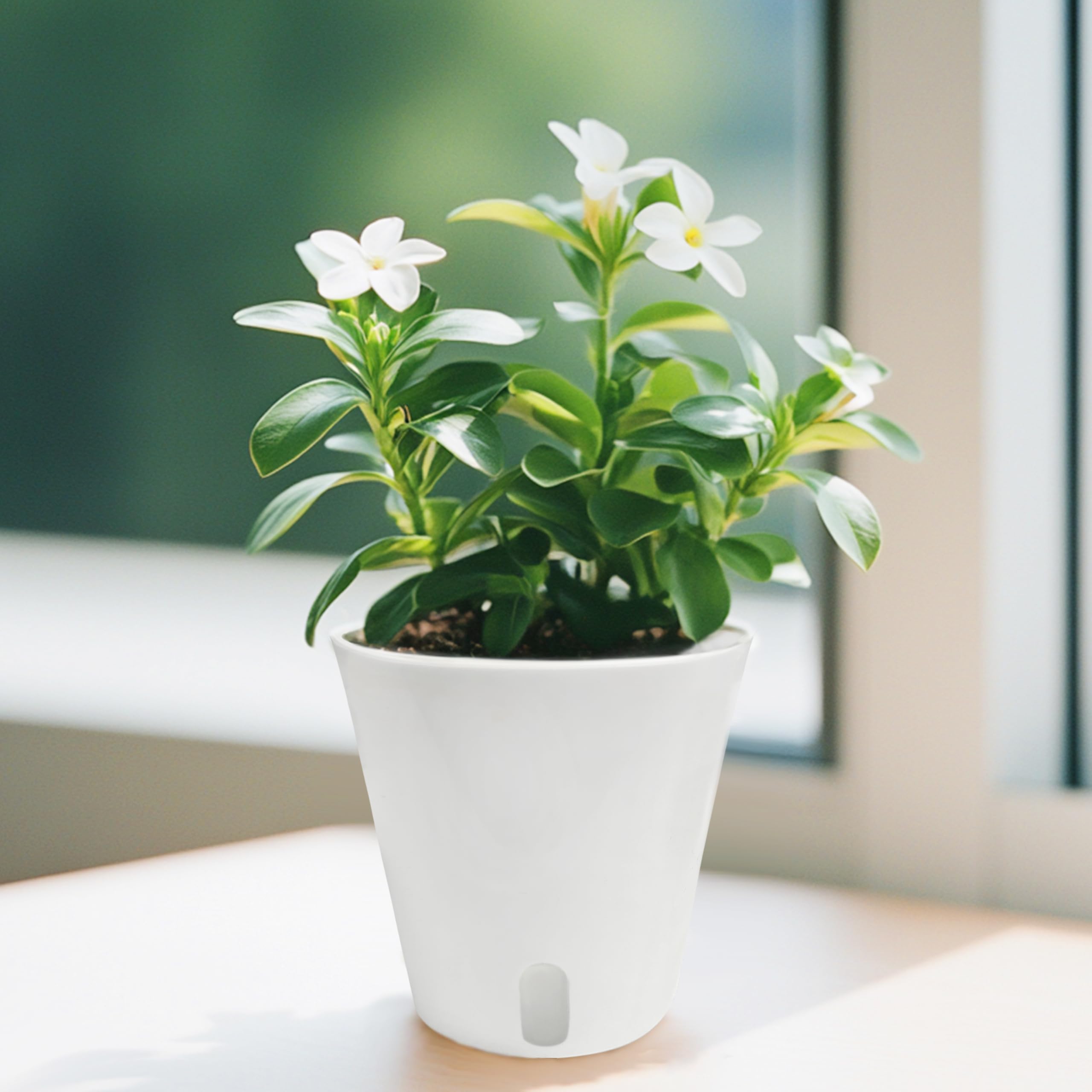 TCBWFY 10-set pack is ideal for windowsills, balconies, and desks.