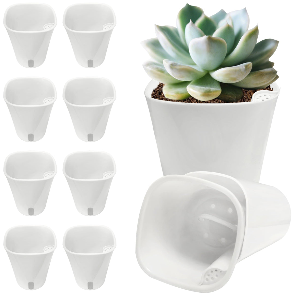 TCBWFY 3-inch self-watering pot inner for planting small herbs, succulents, and flowers.