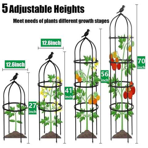 TCBWFY obelisk trellis side angle shows adjustable rings guiding plant growth.