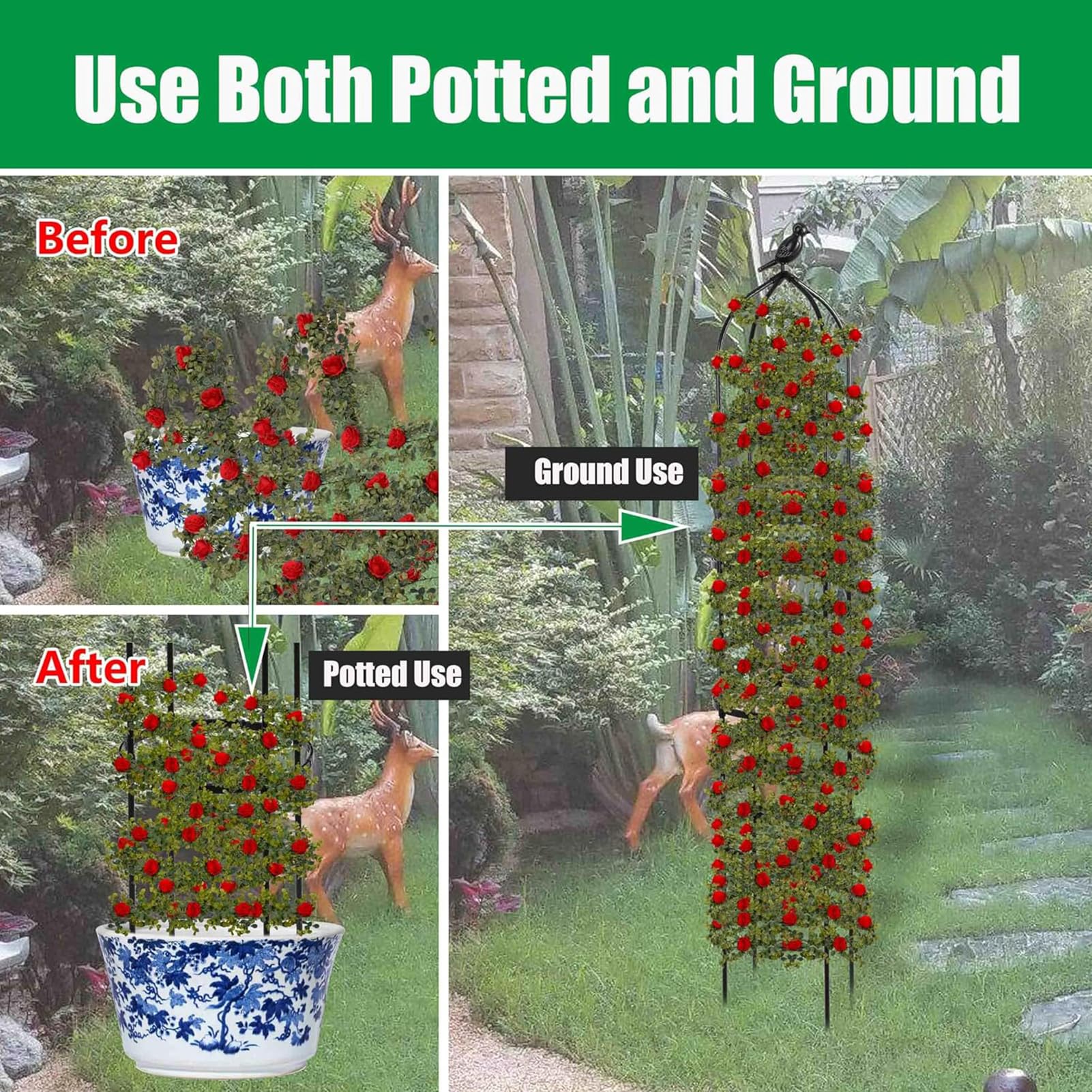TCBWFY stakes anchored design demonstrates outdoor stability in windy weather.
