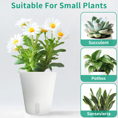 TCBWFY ABS plastic planter, weather resistant and easy to clean