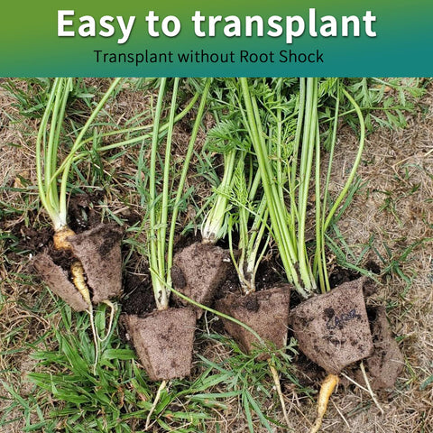 TCBWFY biodegradable pulp tray that degrades in soil for ongoing growth
