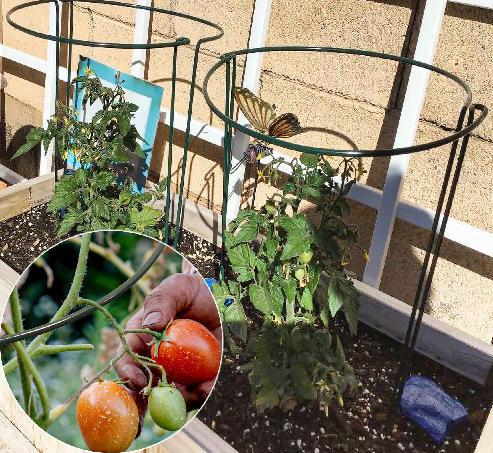 TCBWFY complete plant support pack for outdoor and indoor use