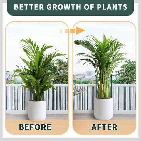 TCBWFY detachable border assembly allows flexible garden borders.