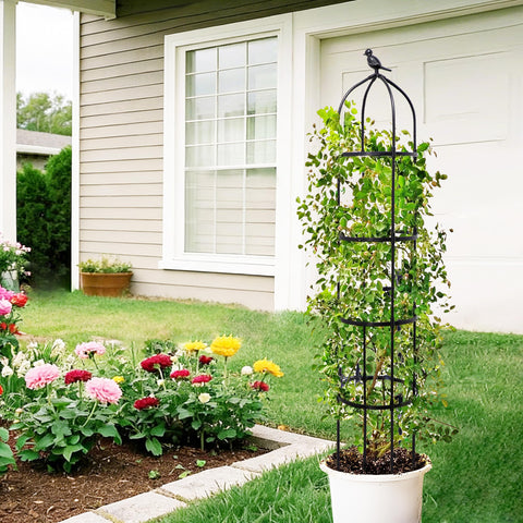 TCBWFY garden scene with obelisk demonstrates stylish vertical plant support.
