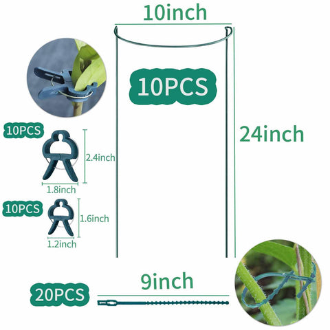 TCBWFY green coated steel stake provides sturdy plant support for heavy blooms.