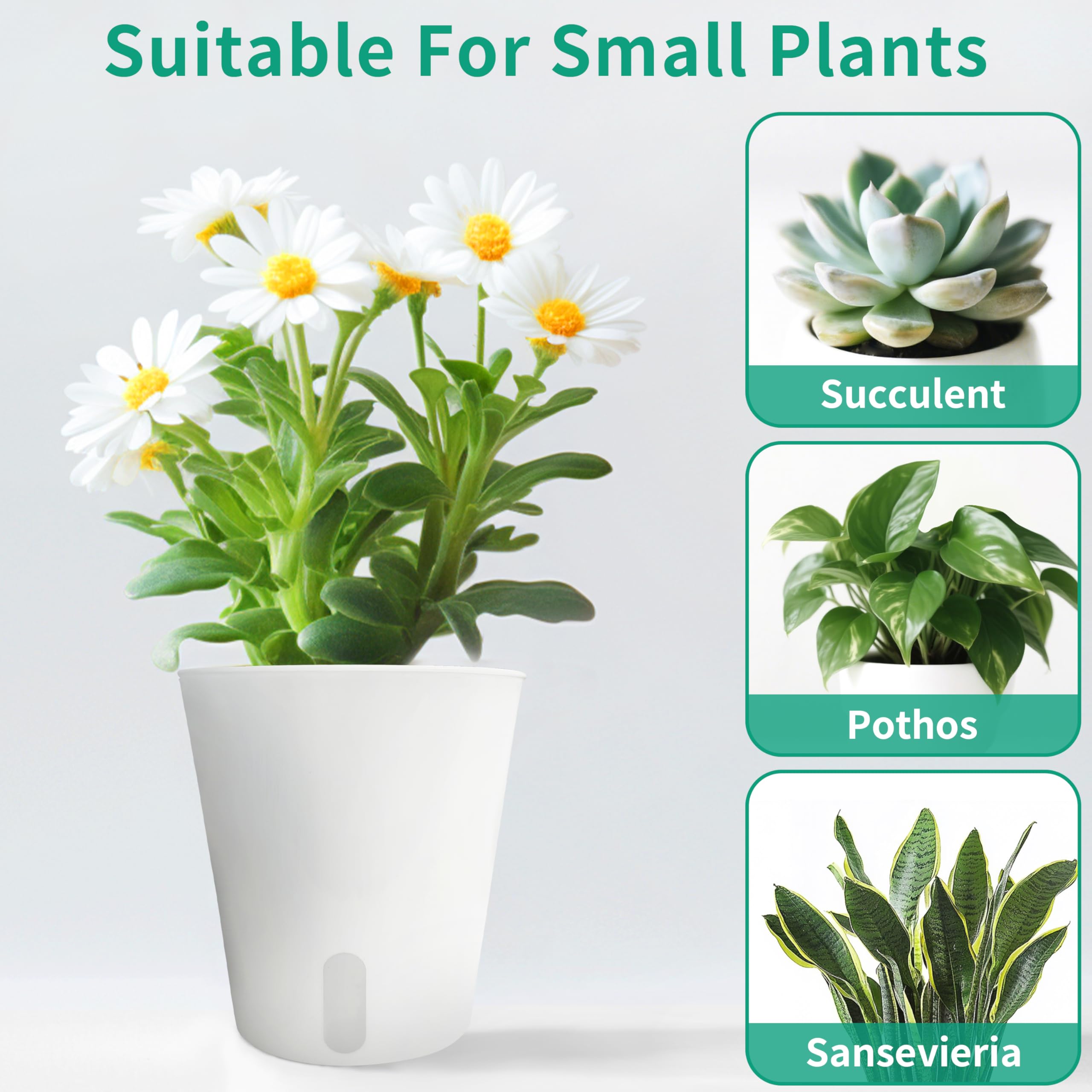 TCBWFY top vents promote root breathing for healthier growth.